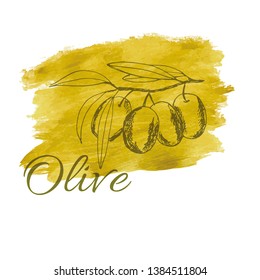 branch olives, sketch, vector illustration hand-drawn logo of olives