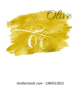 branch olives, sketch, vector illustration hand-drawn logo of olives