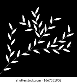 it's a branch on a black background