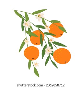 Zweig mit Orange und Blumen einzeln auf weißem Hintergrund. Flaches Design für Poster oder T-Shirt. handgezeichnete Vektorgrafik