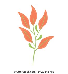 branch with orange leafs plant spring icon vector illustration design