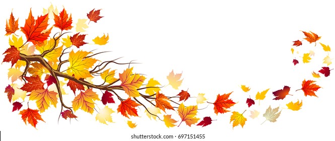 Branch With Orange Leaves In Falling