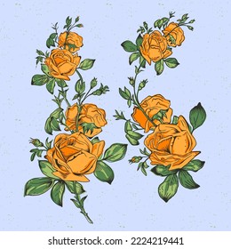 Rama de rosas anaranjadas. Ilustración del vector