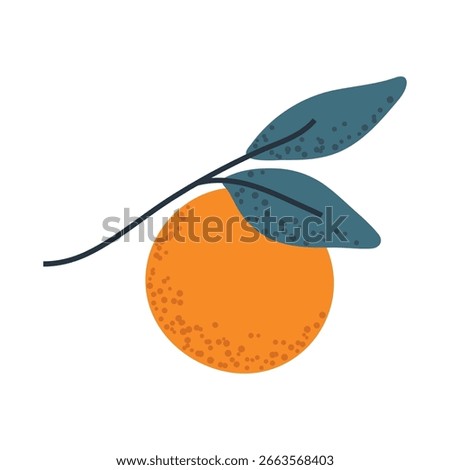 Branch with oranges, ideal for food packaging, citrus logos, or fresh design elements.