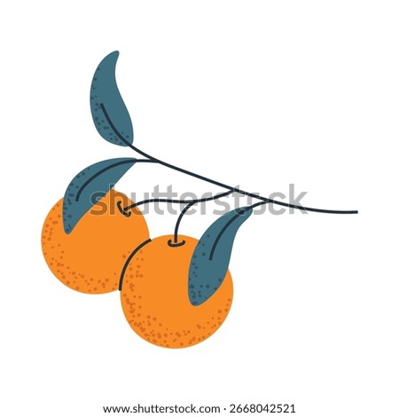 Branch with oranges, ideal for food packaging, citrus logos, or fresh design elements.