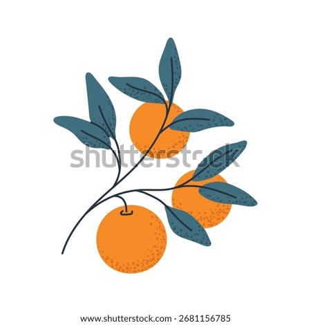 Branch with oranges, ideal for food packaging, citrus logos, or fresh design elements.