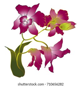 Branch of the orchid with bud. Hand drawn vector imitation of traditional japanese watercolor art.