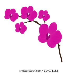 Branch orchid flower vector background for design