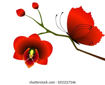 A branch of an orchid with a red butterfly.