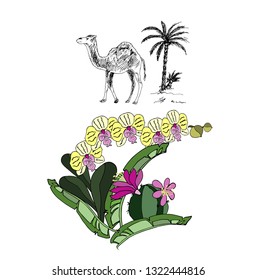 Branch orchids and cacti. Camel and palm trees. Vector illustration.