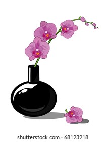 branch of orchid's flower phalaenopsis lila in black vase