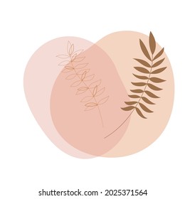 Branch. Organic form. Vector illustration. 