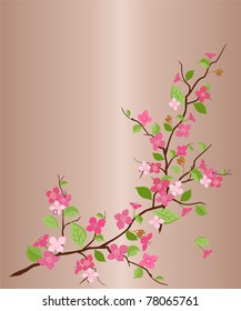 Branch of an Oriental cherry a card