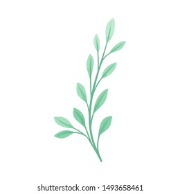 Branch with pale green leaves. Vector illustration on a white background.