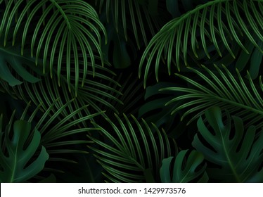 Branch palm realistic. Leaves and branches of palm trees. Tropical leaf background. Green foliage, tropic leaves pattern. vector illustration