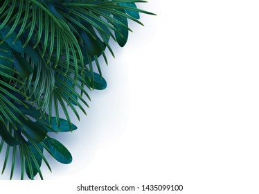 Branch palm realistic. Leaves and branches of palm trees. Tropical leaf background. Green foliage, tropic leaves pattern. vector illustration