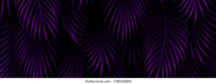 Branch palm realistic. Leaves and branches of palm trees. Tropical leaf background. Green foliage, tropic leaves pattern. horizontal website header. vector illustration
