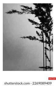 Branch of pampas grass. Pampas grass branch on gray background with empty copy space. Black and white silhouette. Close up. Vector