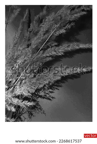 Similar – Image, Stock Photo Windy today Environment