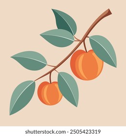 a branch with peaches and leaves