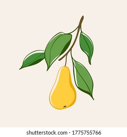 Branch of pear tree. Flat vector contour illustration.