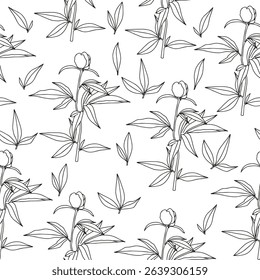 A branch of peonies and leaves. Coloring page for adults and children.