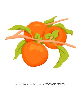 Branch of persimmon tree with fruits and green leaves on stem. Twig with farm sweet ripe harvest from summer or autumn garden, natural healthy vitamin product growing cartoon vector illustration