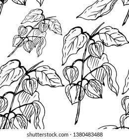 Branch of physalis. Seamless pattern. Hand drawn vector illustration.