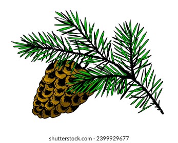 Branch of pine with cone engraving sketch style hand drawn color vector illustration. Scratch board style imitation. Hand-drawn image.