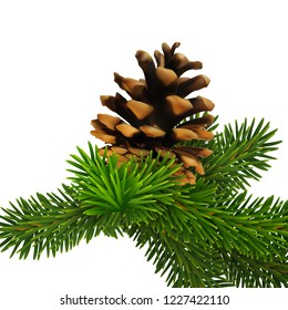 A branch of pine with cone. High detailed realistic illustration.