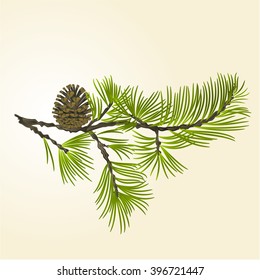 Branch Pine and pine cone natural background vector illustration