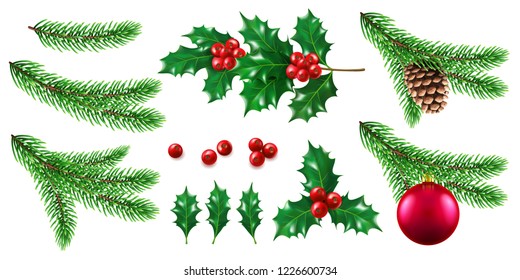 Branch of pine tree with new year and christmas toy, twig of fir tree with cone, holly berry. Mistletoe fruits and pinecone, ilex and spruce. Winter holidays and celebration, festive theme