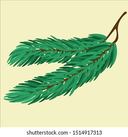 Branch of pine , twig of fir tree. Winter holidays and celebration, festive theme. Vector