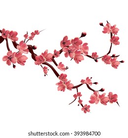 Branch of pink blossoming sakura. Japanese cherry tree. Vector Isolated Illustration on white background