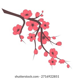 Rama de flor de cerezo rosa, Ilustración vectorial 