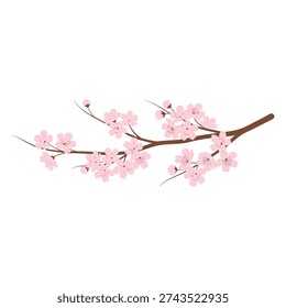 A branch with pink cherry blossoms and buds
