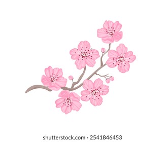 Branch of pink cherry flower isolated on white background. Spring blossom icon. Sakura vector cartoon illustration. 