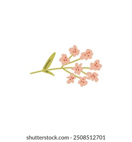 Branch com flores de margarida rosa e folhas ícone plano. Linda planta flor, design floral único elemento. Ilustração vetorial isolada em branco. Jardim romântico natureza decoração estilo doodle