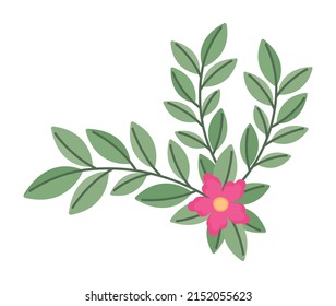 branch with pink flower over white