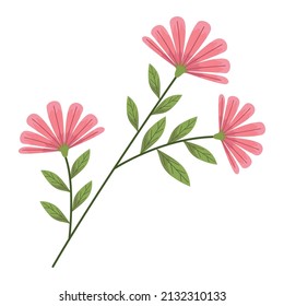 branch with pink flowers spring