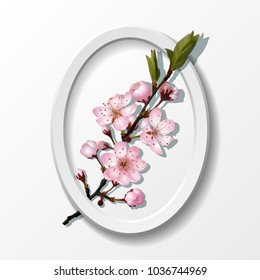 Branch of pink sakura cherry flowers in paper frame isolated on white background for spring greeting card, banner, wallpaper or poster. Spring is coming concept. Vector illustration