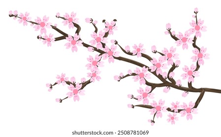 Zweig rosa Sakura Blumen einzeln auf weißem Hintergrund.