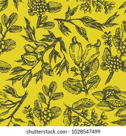 Branch with pistachio nuts, cocoa beans, almonds, cashew nuts and coffee beans plant hand draw illustration sketch. Seamless pattern