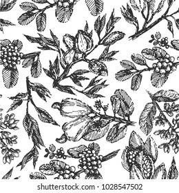 Branch with pistachio nuts, cocoa beans, almonds, cashew nuts and coffee beans plant hand draw illustration sketch. Seamless pattern