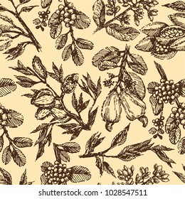 Branch with pistachio nuts, cocoa beans, almonds, cashew nuts and coffee beans plant hand draw illustration sketch. Seamless pattern