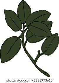 a branch of a plant	