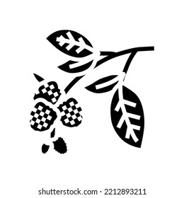 branch plant blackberry glyph icon vector. branch plant blackberry sign. isolated symbol illustration