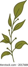 a branch from a plant with green shoots and a dark line