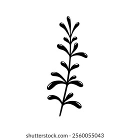 Branch of a plant. Hand drawn twig with leaves.Vector illustration isolated on white background.