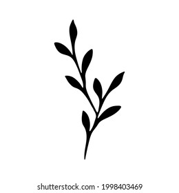 Sucursal con hoja sobre fondo blanco. Elemento vectorial para el diseño.